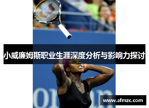 小威廉姆斯职业生涯深度分析与影响力探讨