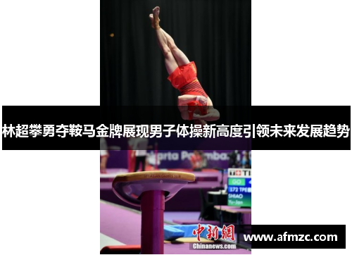 林超攀勇夺鞍马金牌展现男子体操新高度引领未来发展趋势