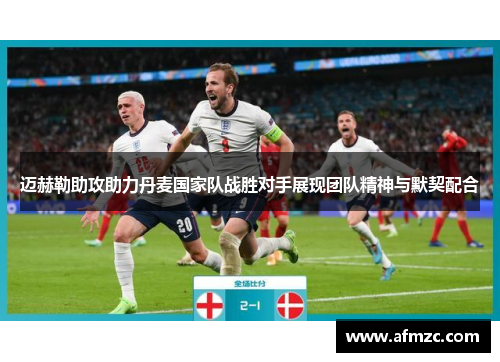 迈赫勒助攻助力丹麦国家队战胜对手展现团队精神与默契配合