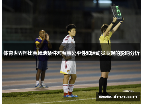 体育世界杯比赛场地条件对赛事公平性和运动员表现的影响分析