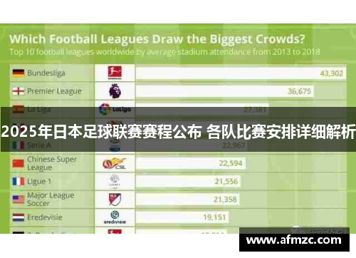 2025年日本足球联赛赛程公布 各队比赛安排详细解析 2025年日本足球联赛赛程公布 各队比赛安排详细解析
