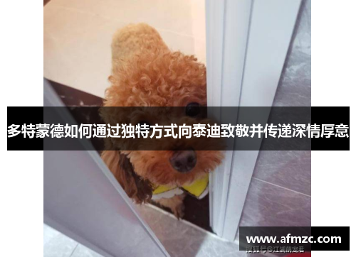 多特蒙德如何通过独特方式向泰迪致敬并传递深情厚意