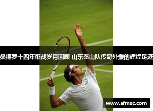 桑德罗十四年征战岁月回顾 山东泰山队传奇外援的辉煌足迹