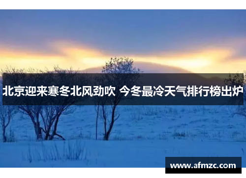 北京迎来寒冬北风劲吹 今冬最冷天气排行榜出炉