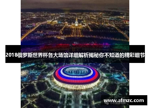 2018俄罗斯世界杯各大场馆详细解析揭秘你不知道的精彩细节