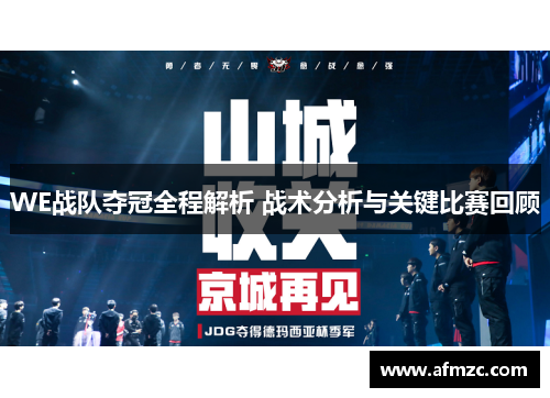 WE战队夺冠全程解析 战术分析与关键比赛回顾