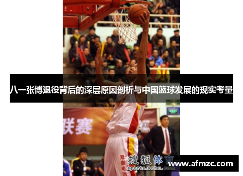 八一张博退役背后的深层原因剖析与中国篮球发展的现实考量