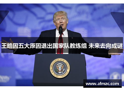 王皓因五大原因退出国家队教练组 未来去向成谜 王皓因五大原因退出国家队教练组 未来去向成谜