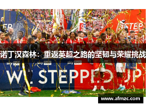 诺丁汉森林：重返英超之路的坚韧与荣耀挑战