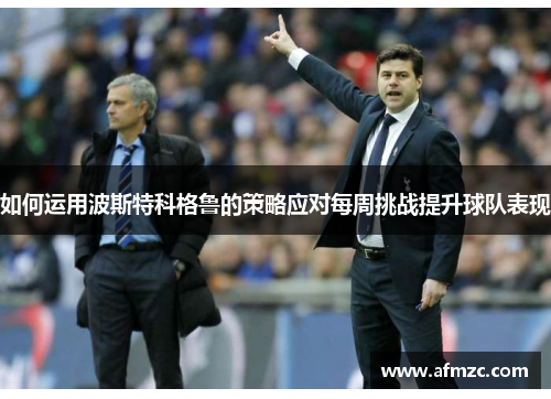 如何运用波斯特科格鲁的策略应对每周挑战提升球队表现